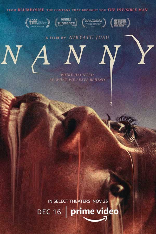 Poster of Nanny