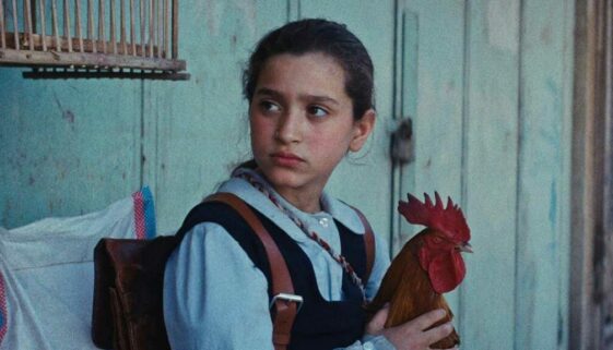 The President's Cake