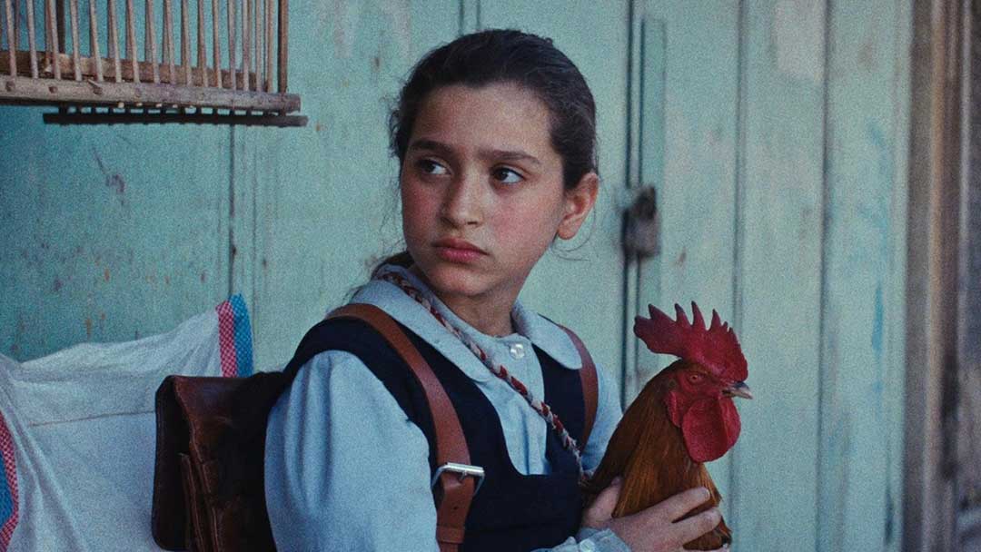 The President's Cake