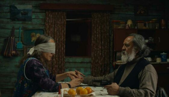 The Mysterious Gaze of the Flamingo